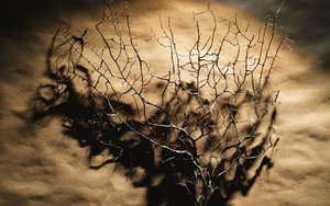 根河市變壓器有限責(zé)任公司