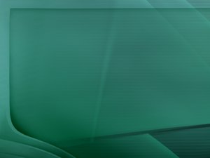 烏審旗蔬菜種子有限責(zé)任公司