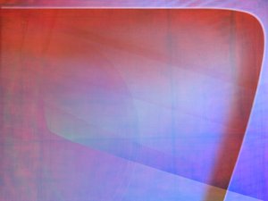 石樓縣蛇苗有限責任公司