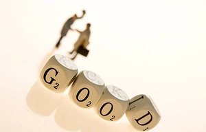 敖漢旗氮肥有限責任公司